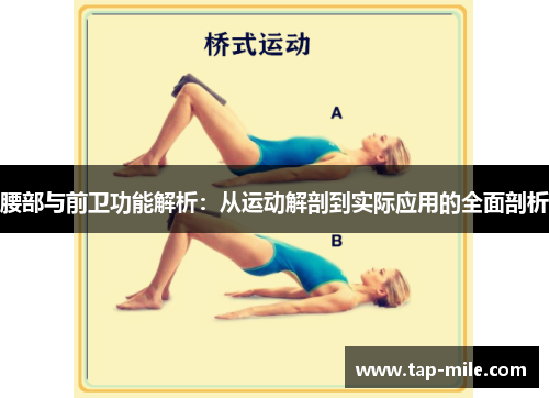 腰部与前卫功能解析:从运动解剖到实际应用的全面剖析
