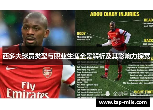 西多夫球员类型与职业生涯全景解析及其影响力探索