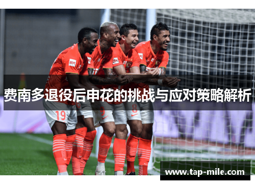 费南多退役后申花的挑战与应对策略解析