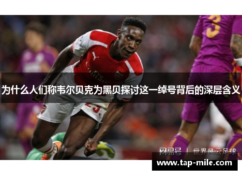 为什么人们称韦尔贝克为黑贝探讨这一绰号背后的深层含义