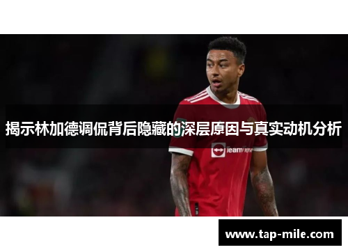 揭示林加德调侃背后隐藏的深层原因与真实动机分析