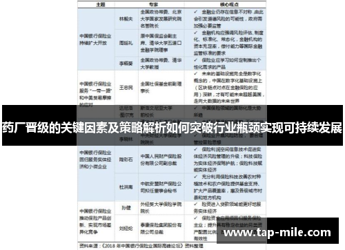 药厂晋级的关键因素及策略解析如何突破行业瓶颈实现可持续发展