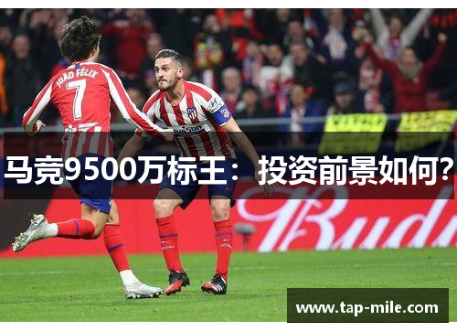 马竞9500万标王：投资前景如何？
